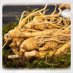 Sâm Tươi loại 10 củ 1kg
