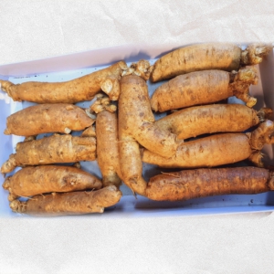 Sâm trọc 6 năm tuổi loại 12 củ /1kg