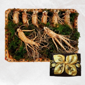 Sâm Tươi loại 8 củ 1kg