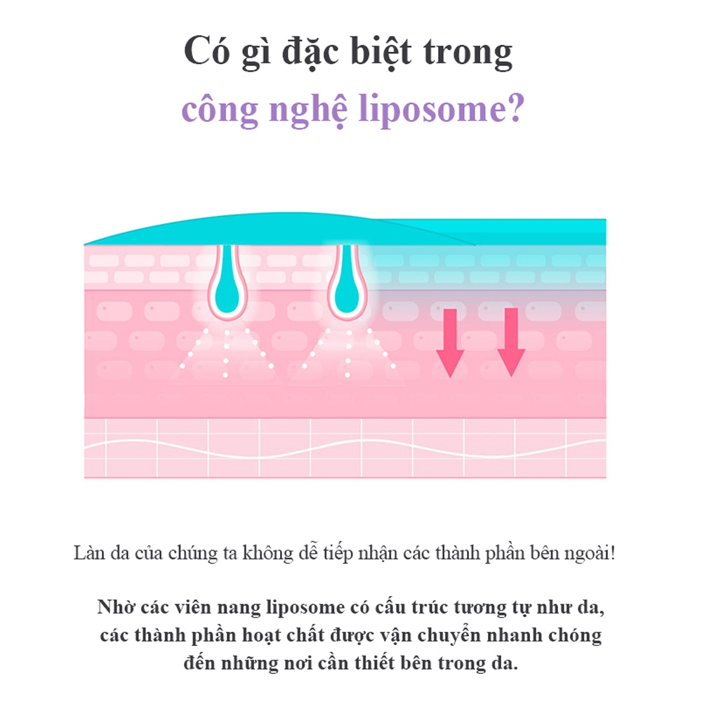 sg-11134207-7rdxj-m0b1psle59t2f6